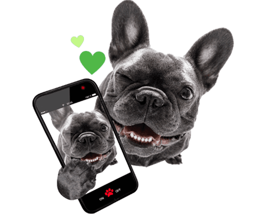 Network Coverage Map